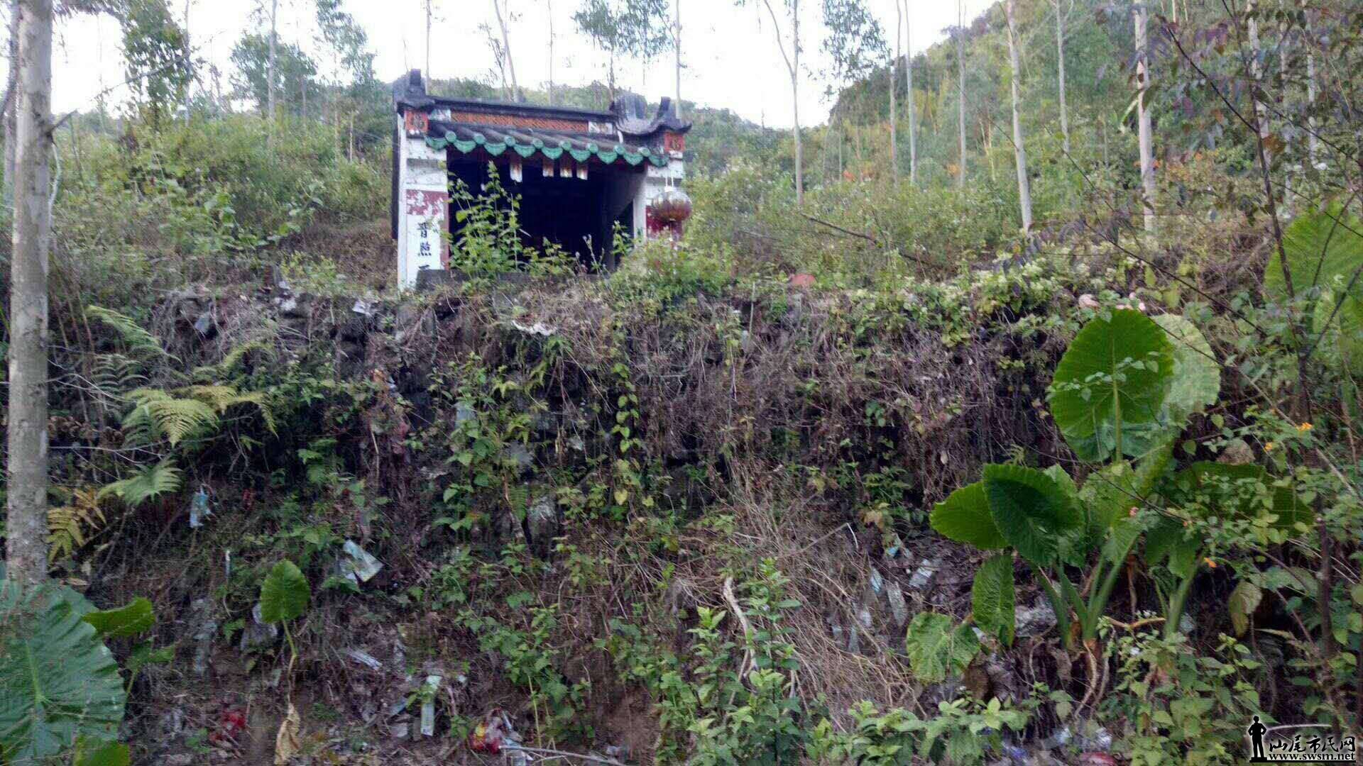 �Ŵ��ͬ־��ϵ��Ǽ���Ǵ�