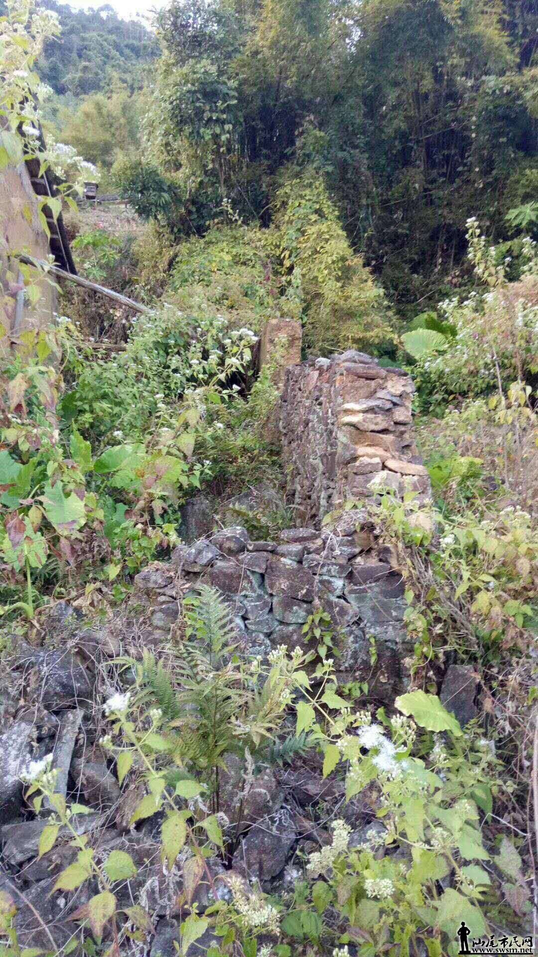 �Ŵ��ͬ־��ϵ��Ǽ���Ǵ�