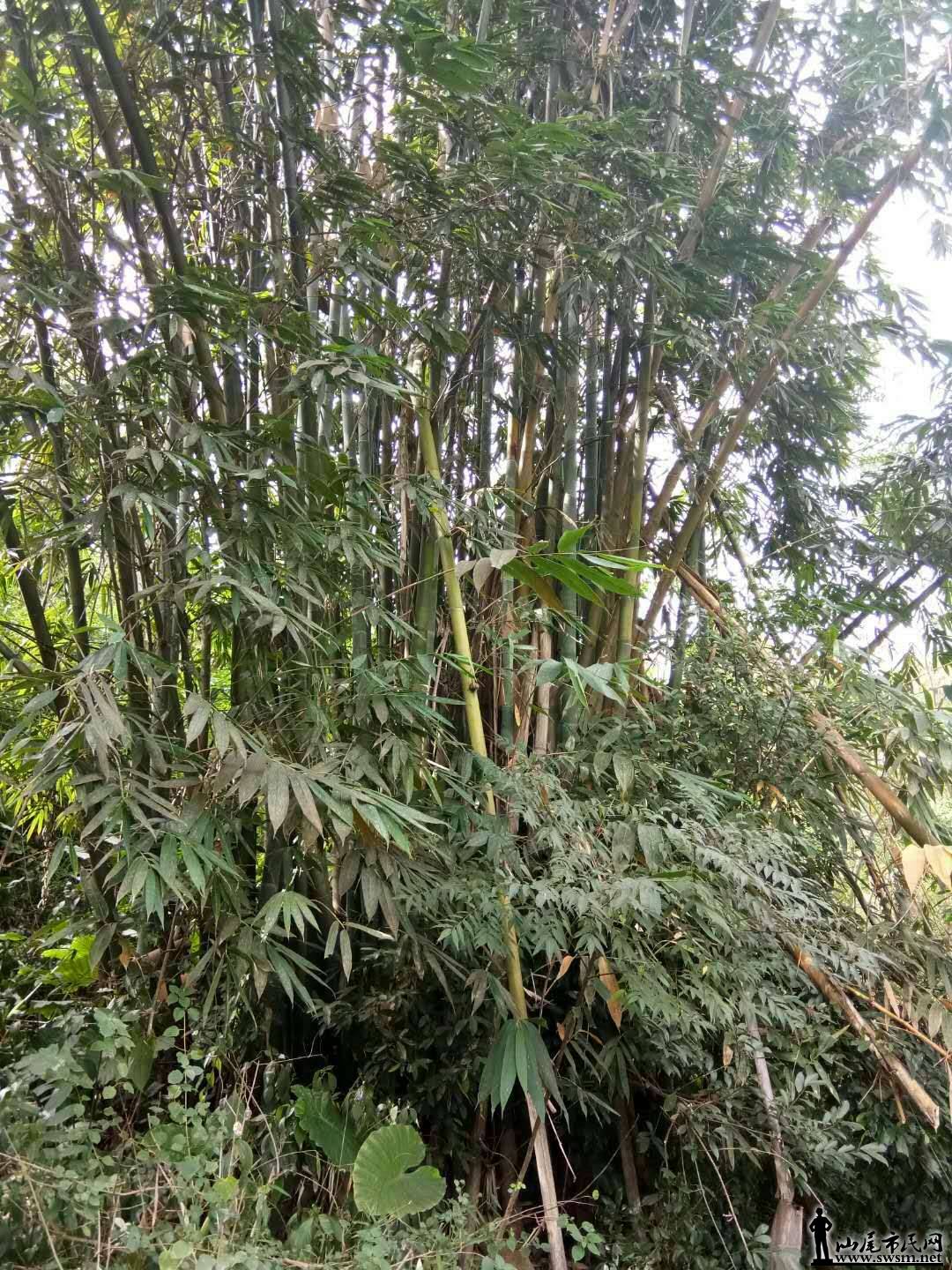 �Ŵ��ͬ־��ϵ��Ǽ���Ǵ�