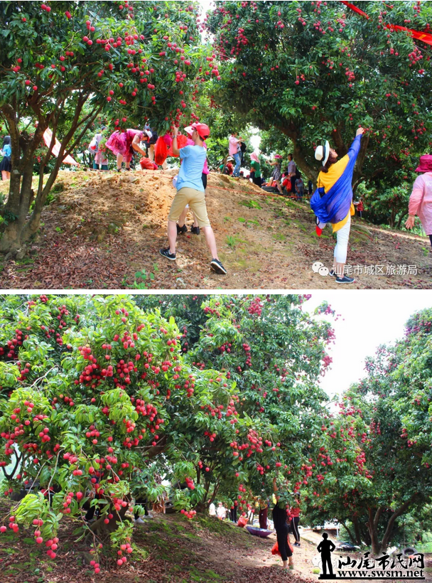 ��β��������ƍ����6ǧĶ��԰����Լ��