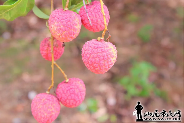 ��β��������ƍ����6ǧĶ��԰����Լ��