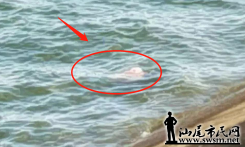 ��ƽˮ�ⷢ�ָ�ʬ���ѱ����������ϰ���