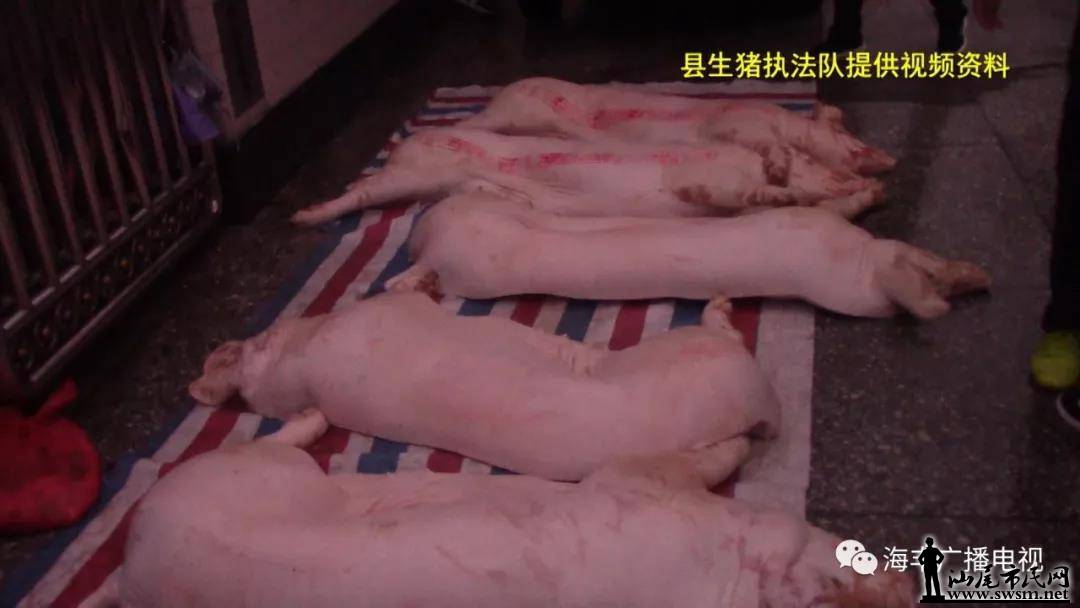 ����������˽������ ���˱���