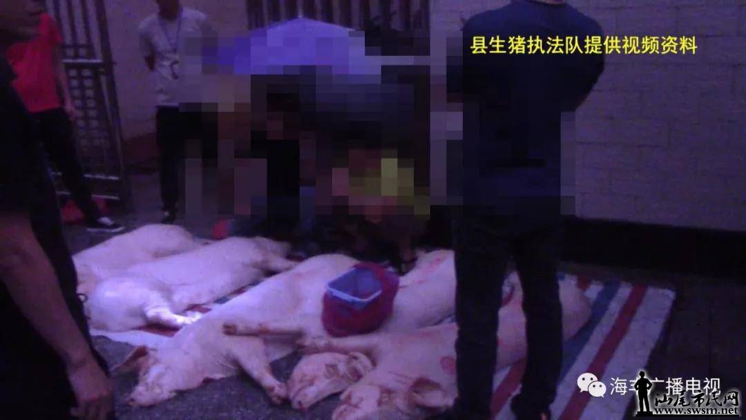 ����������˽������ ���˱���