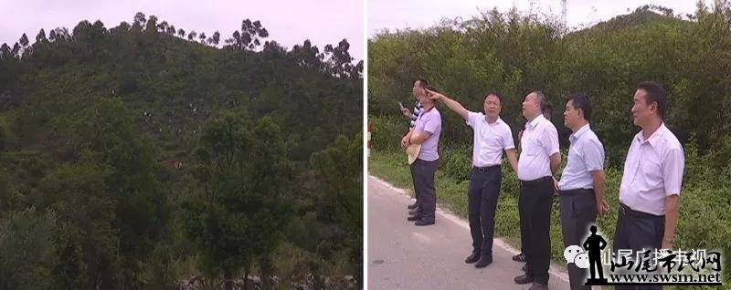 ���ٻ���麣�ǹ�·����ɽ��͵�·�����̻�����