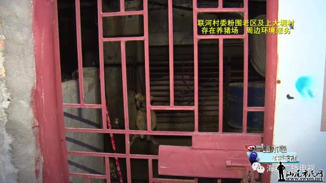 �ع⣬�����سǻ�����������ʵ¼