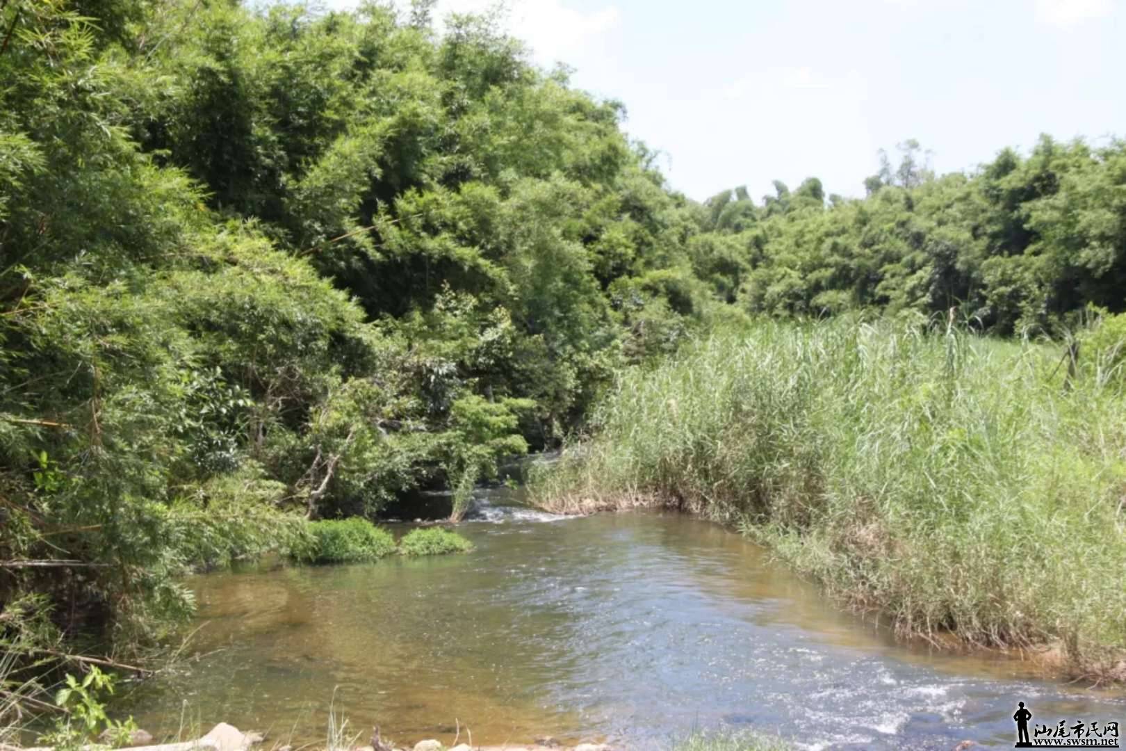 ����ɽ������̬����Ȼ���������ǡ���