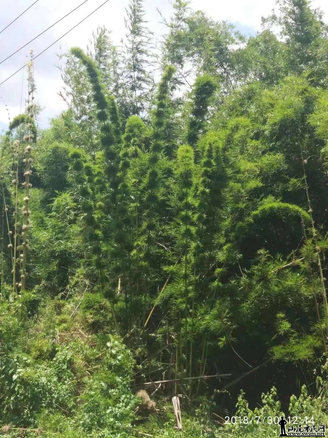 ����ɽ������̬����Ȼ���������ǡ���