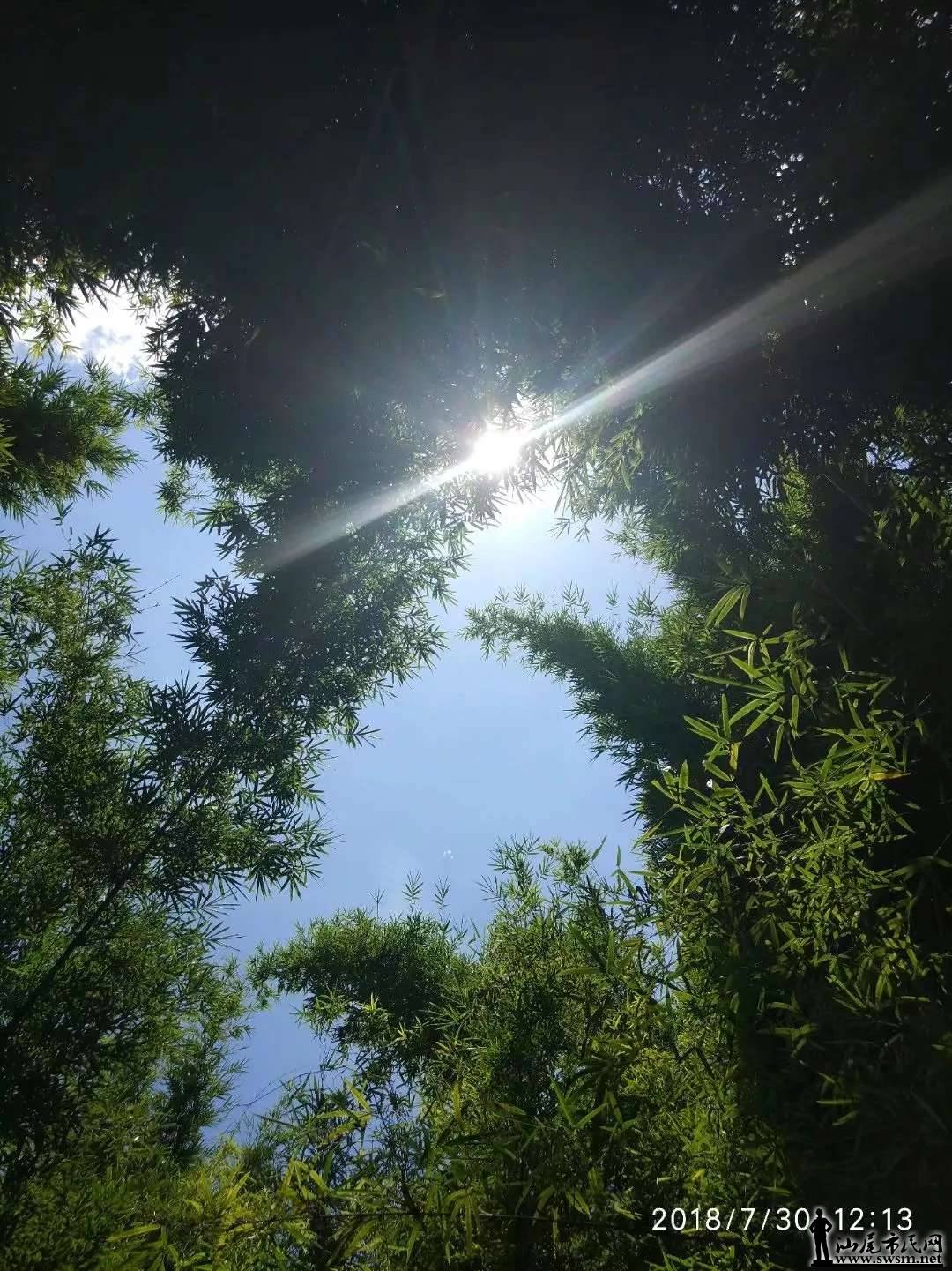 ����ɽ������̬����Ȼ���������ǡ���