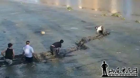 ½��.�����ӱ�׷�����ӣ����...