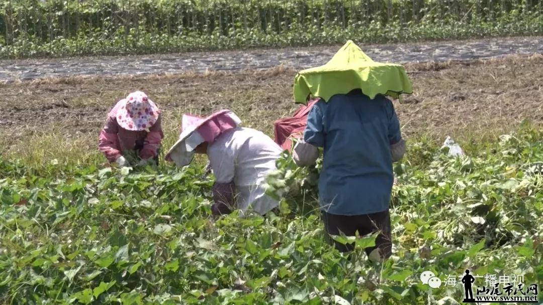 ������������37��Ķ