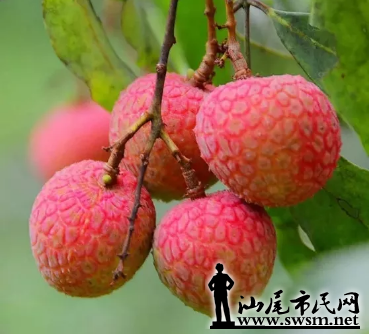 ֦ᱻƼݡ֦꿴һƪ¾͹ˣ