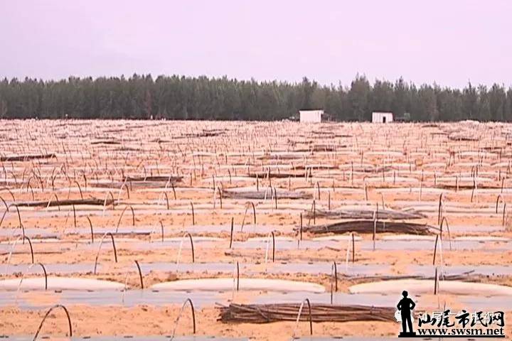 ½���ܲ���ҵ԰������2018��ʡ���ִ���ũҵ��ҵ԰��������