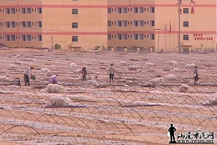 ½���ܲ���ҵ԰������2018��ʡ���ִ���ũҵ��ҵ԰��������