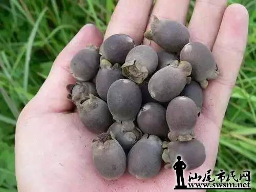 �����˳��Ե�������۸��ǣ������˿������˲ƣ�