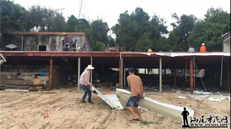 �캣����֯����