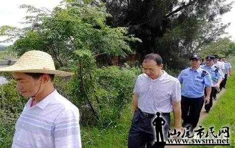 ½�� ��������ץ���� ȫ����������