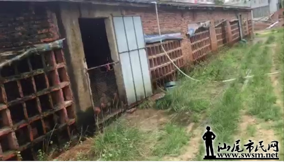 ���������Сѧ���ߴ��ͼ�����Ȼ���ڣ����йز��������Сѧ���ܱ߻����������⡣