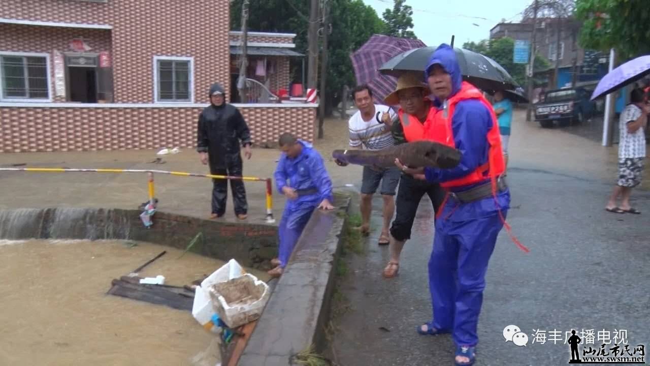 ���������һ��ָ�ӷ�Ѵ�������Թ���