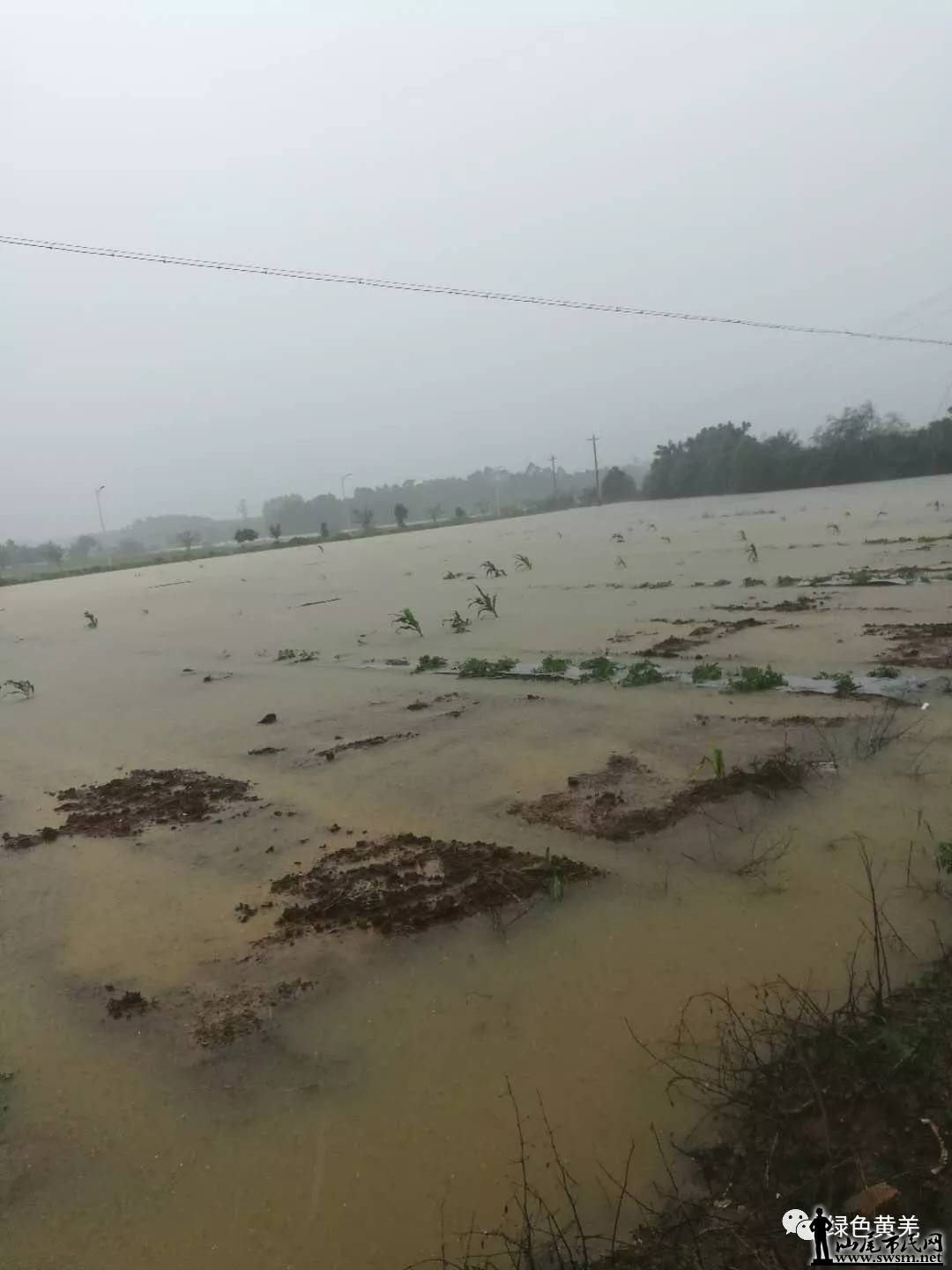  ��Ǽ����־�ɳ� ��Ӯ����ǿ��������ս 