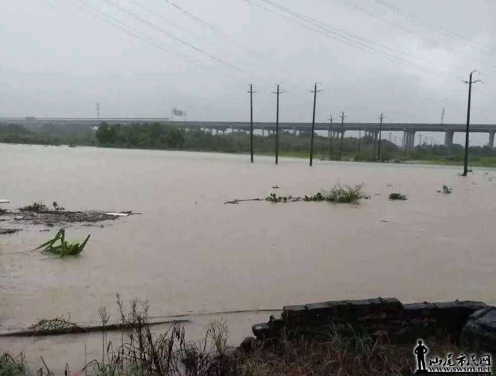 ��ί�������۽��쵽����ɽָ�����鹤��