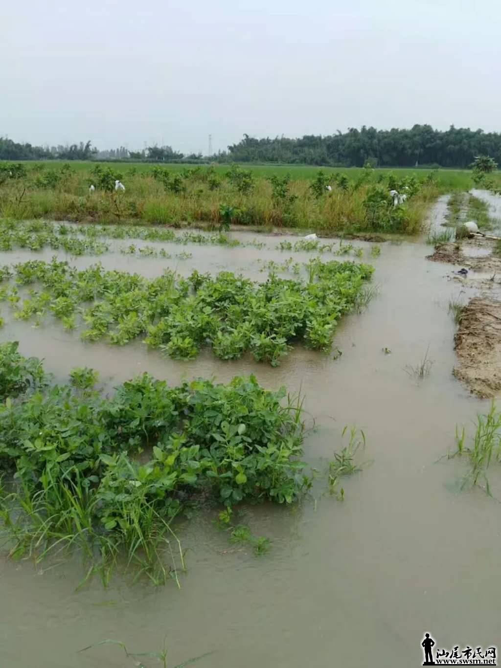 wechat_upload15357275855b8957e111b5d