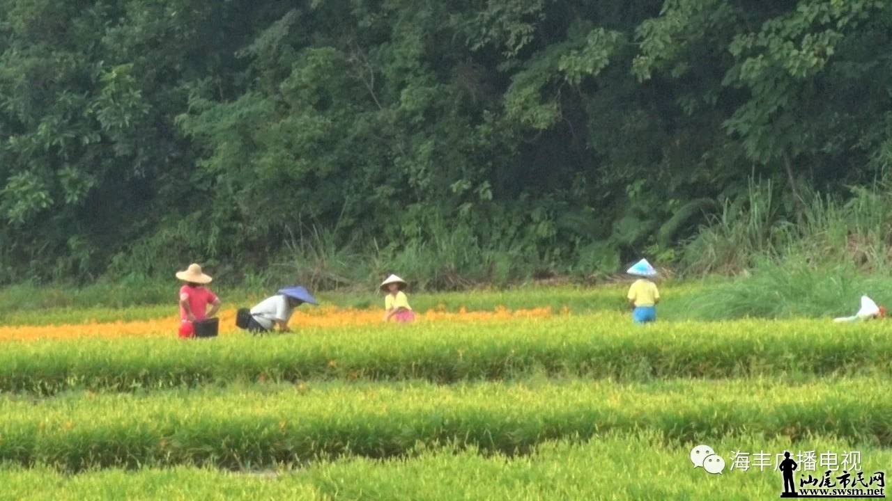 ���ǡ���ƽ����Ǽ���첺����ʯ���Ƕ�����Ѹ�������ֺ󸴲�����