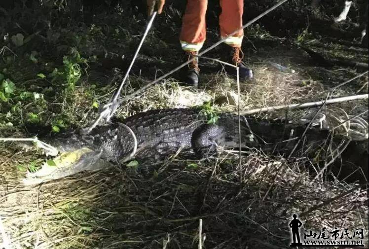 ���� ����ץ���������ֳ�...