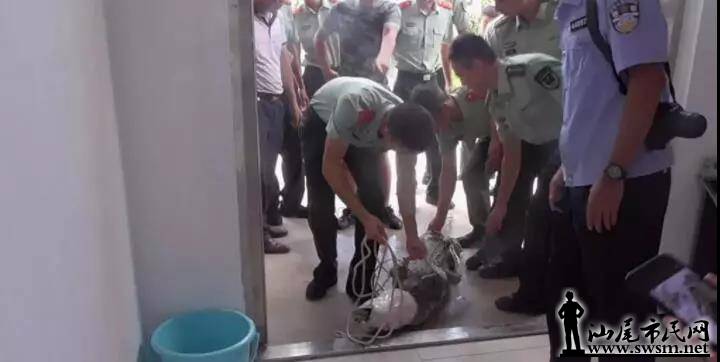 ���� ����ץ���������ֳ�...