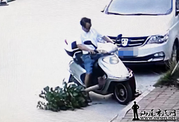 ��������������͵���Ա��������