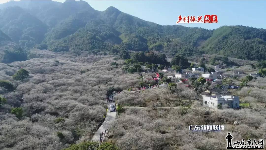 ������˹��� | ��Ϫ�ȵĳɹ����ɱ䡱