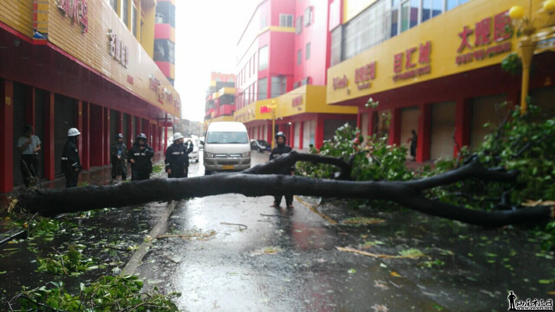 ��籩���е�һһ�ع��ÿ���ҵ