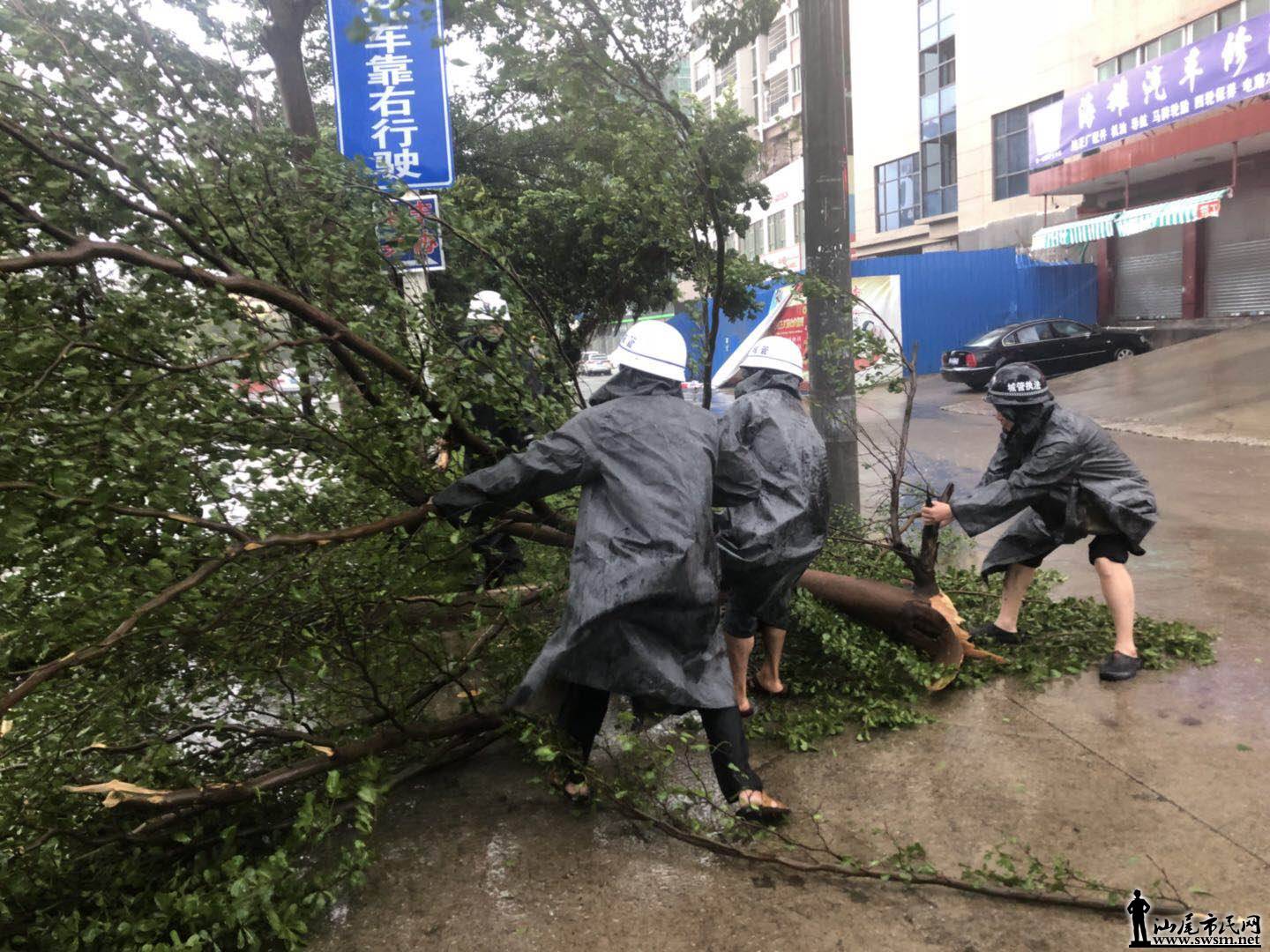 ��籩���е�һһ�ع��ÿ���ҵ