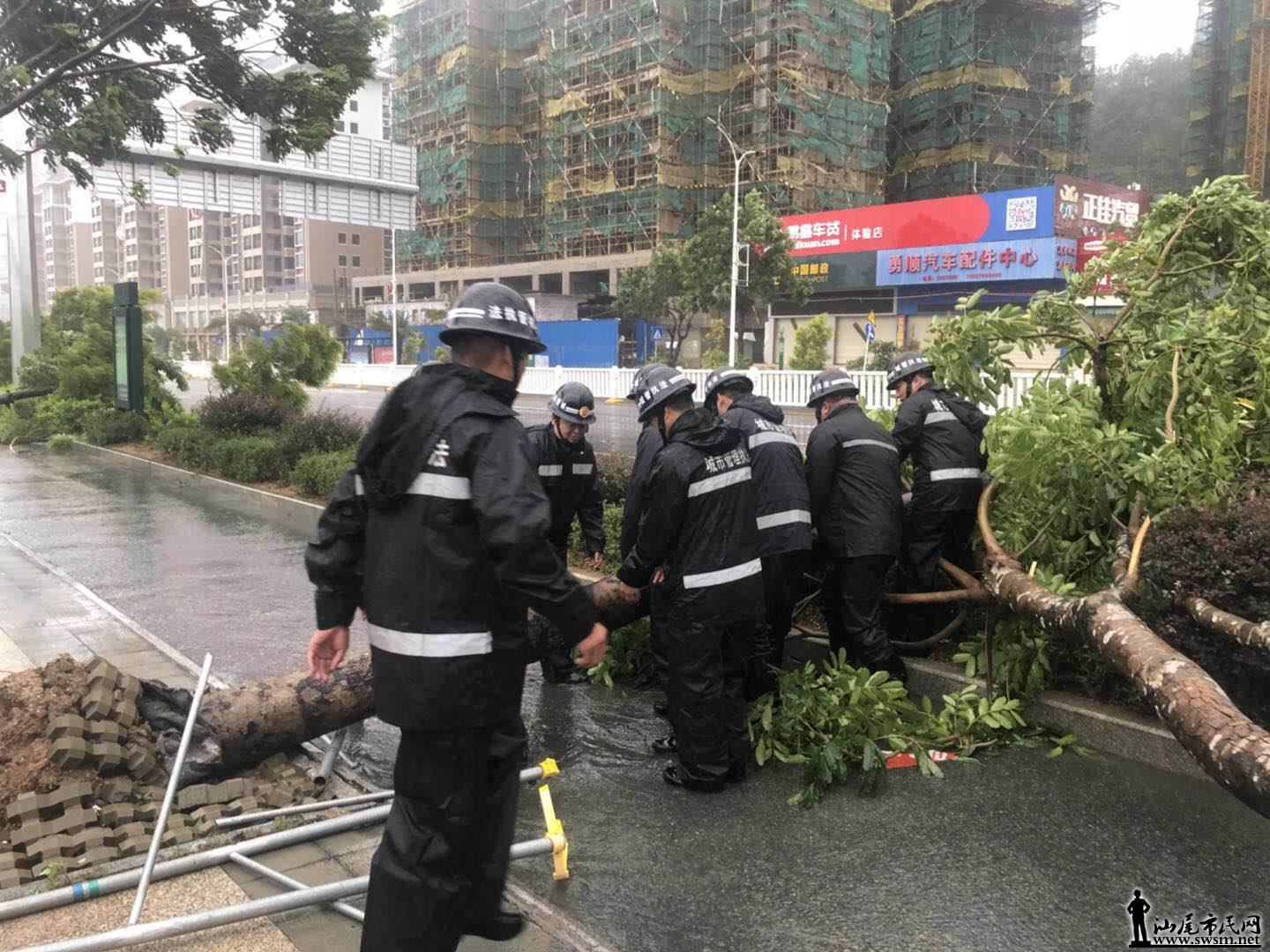 ������ɽ��̨�磬�ǹܾ����ж���