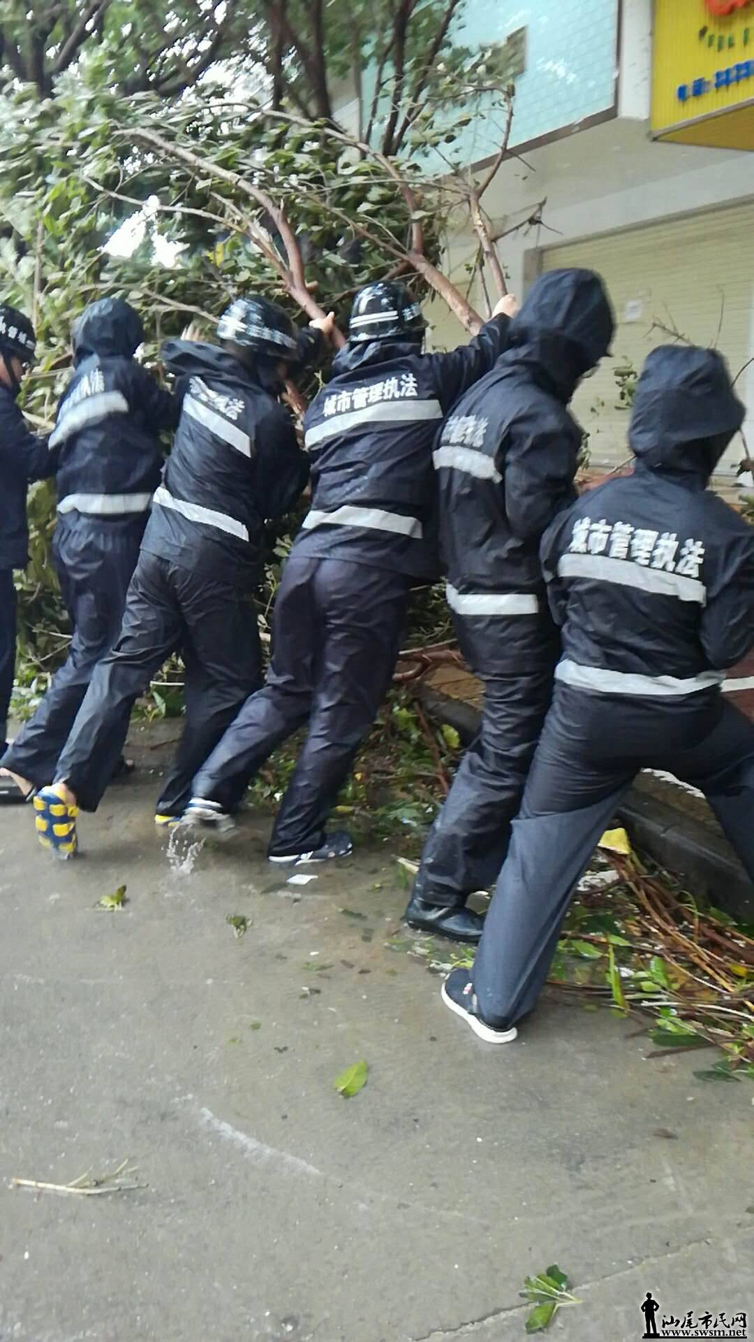 ������ɽ��̨�磬�ǹܾ����ж���