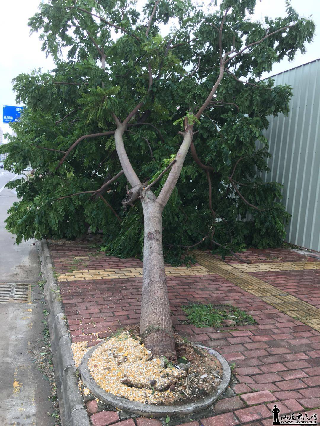 ץ���ѵ������е�����������