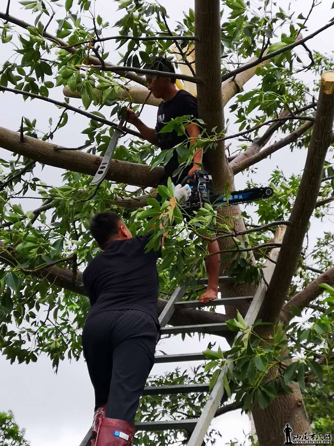 ������Ⱥ��־�ɳǾ��ָ���