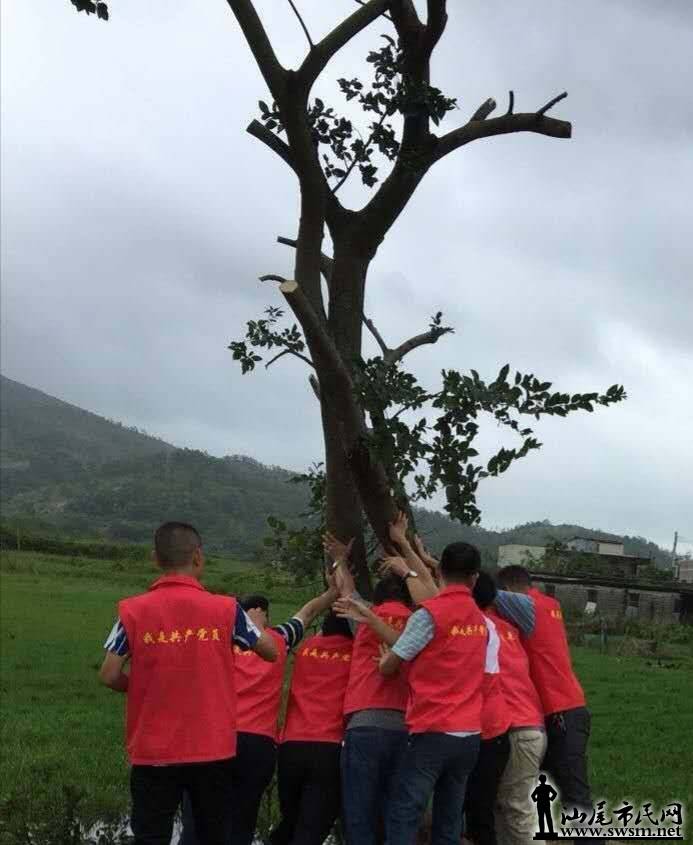 ������Ⱥ��־�ɳǾ��ָ���