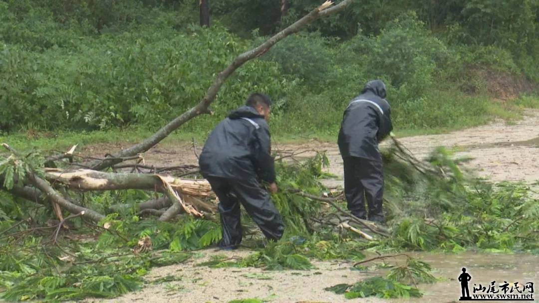 ������̨�硿��ɽ����Ϯ ½�Ӹ��и�ҵ��ս������һ��