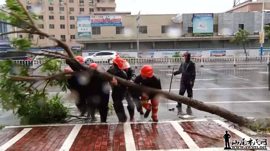 ���ָ���������ȫ��չ��