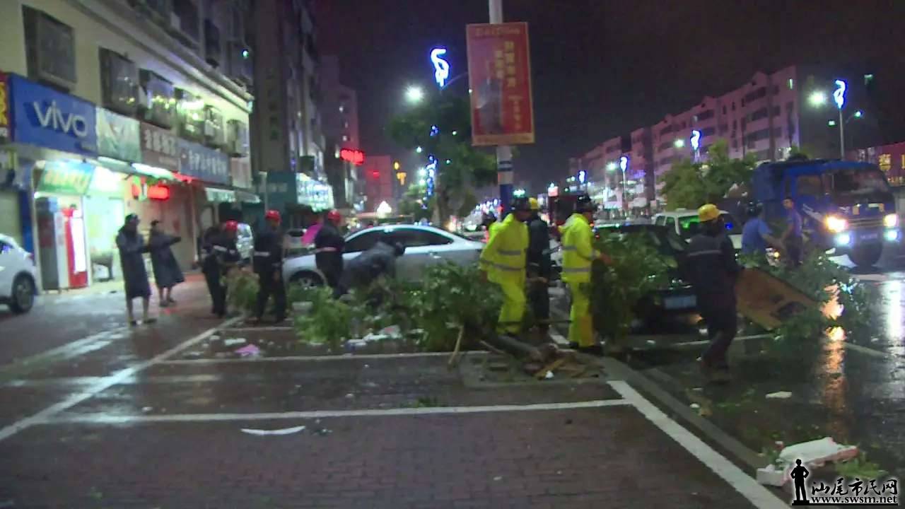 ���ָ���������ȫ��չ��