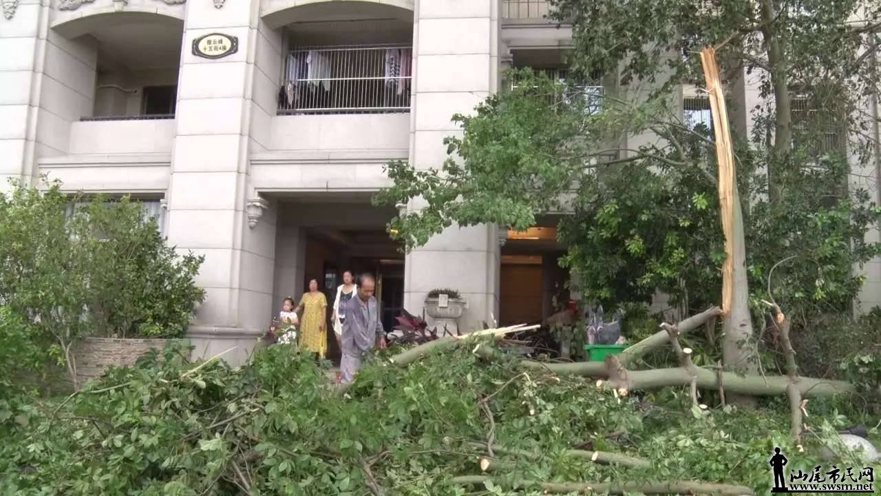 ���ָ���������ȫ��չ��