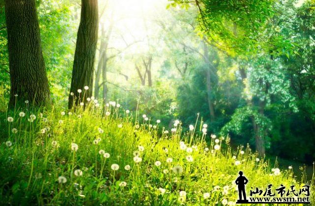 ��β�ˣ�ռ�⼸����������˶��٣�