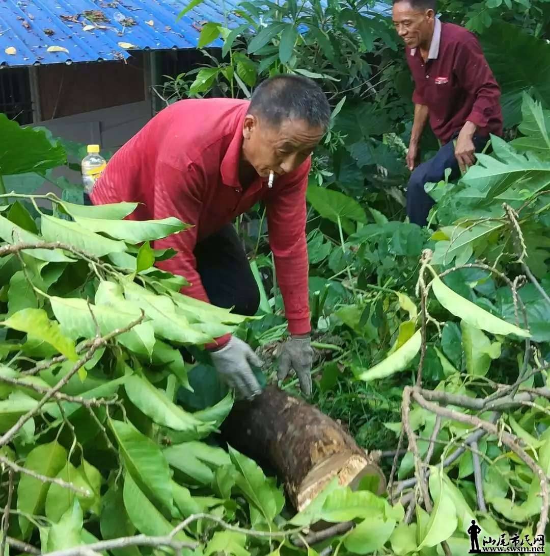 ���Ᾱ����˹��ҵ�λ�����ֳ�Ƭ��