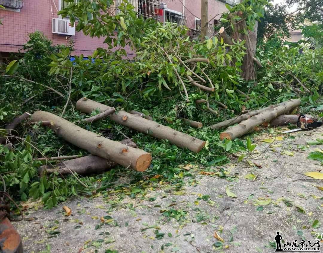 ���Ᾱ����˹��ҵ�λ�����ֳ�Ƭ��