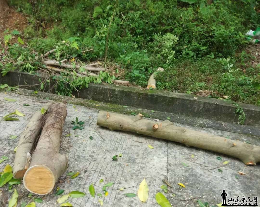 ���Ᾱ����˹��ҵ�λ�����ֳ�Ƭ��