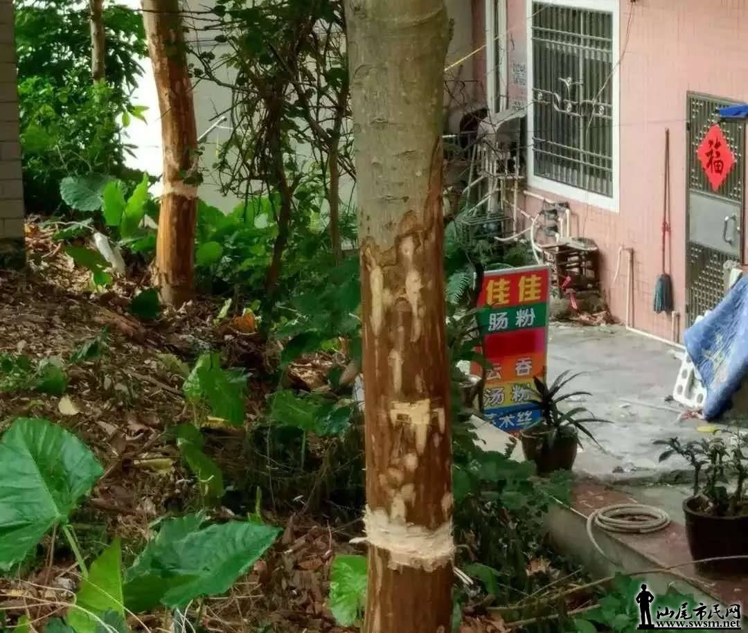 ���Ᾱ����˹��ҵ�λ�����ֳ�Ƭ��