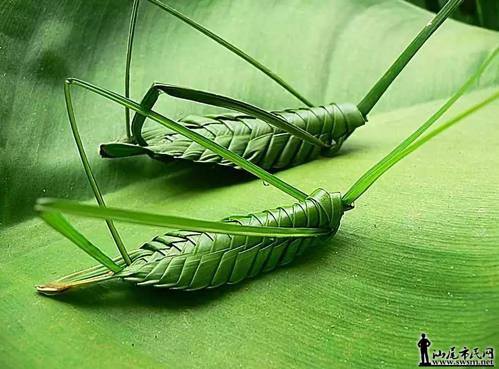 ��ʢ�ƽ�����������������԰����ȫ���Դ���أ�