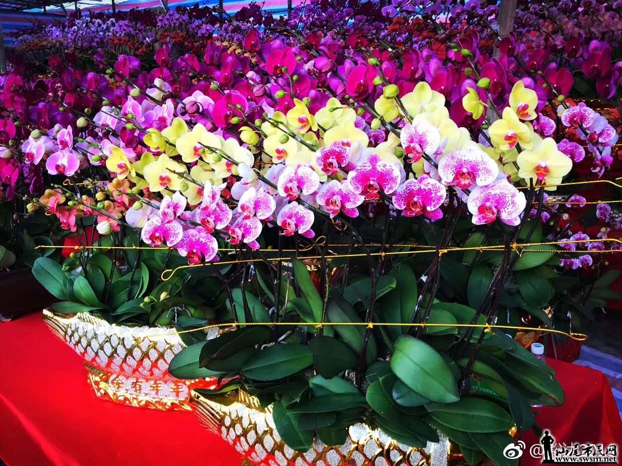 wechat_upload15485198385c4c899eca327