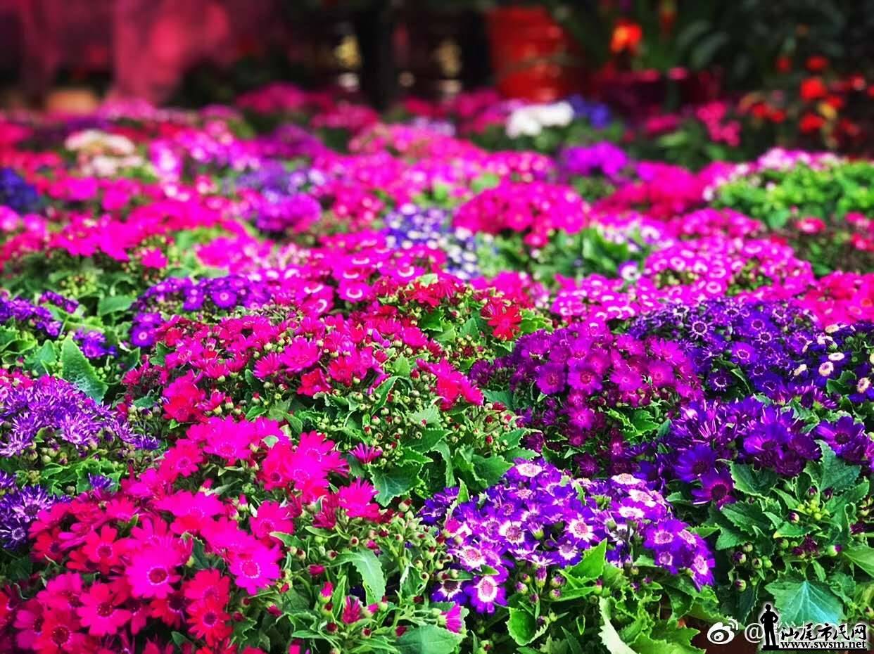 wechat_upload15485198395c4c899f6cf5b